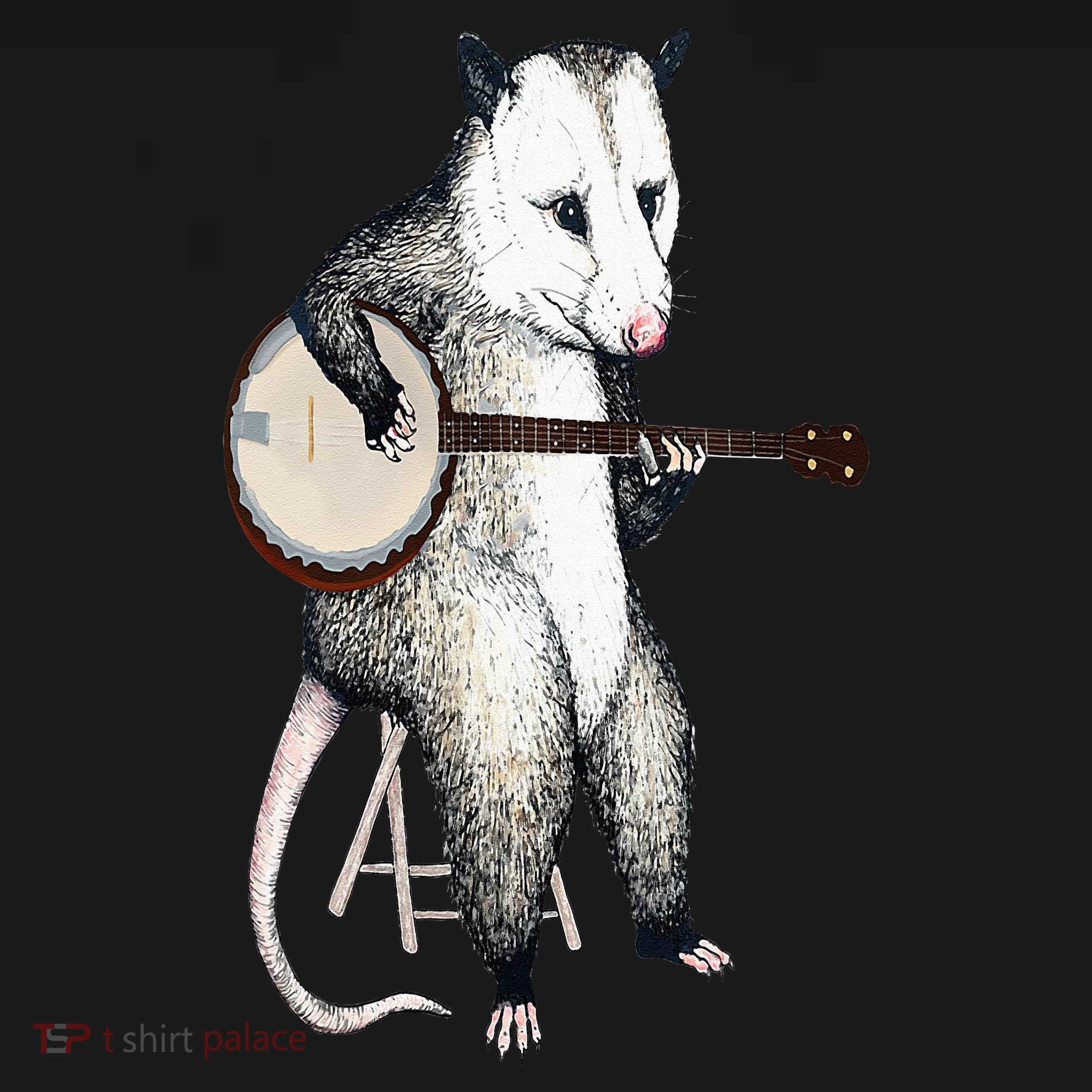 Opossum Playing Banjo Guitar Possum Live Weird Trash Kitty Baby Bodysuit