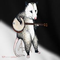 Opossum Playing Banjo Guitar Possum Live Weird Trash Kitty Toddler Fine Jersey T-Shirt thumb 2