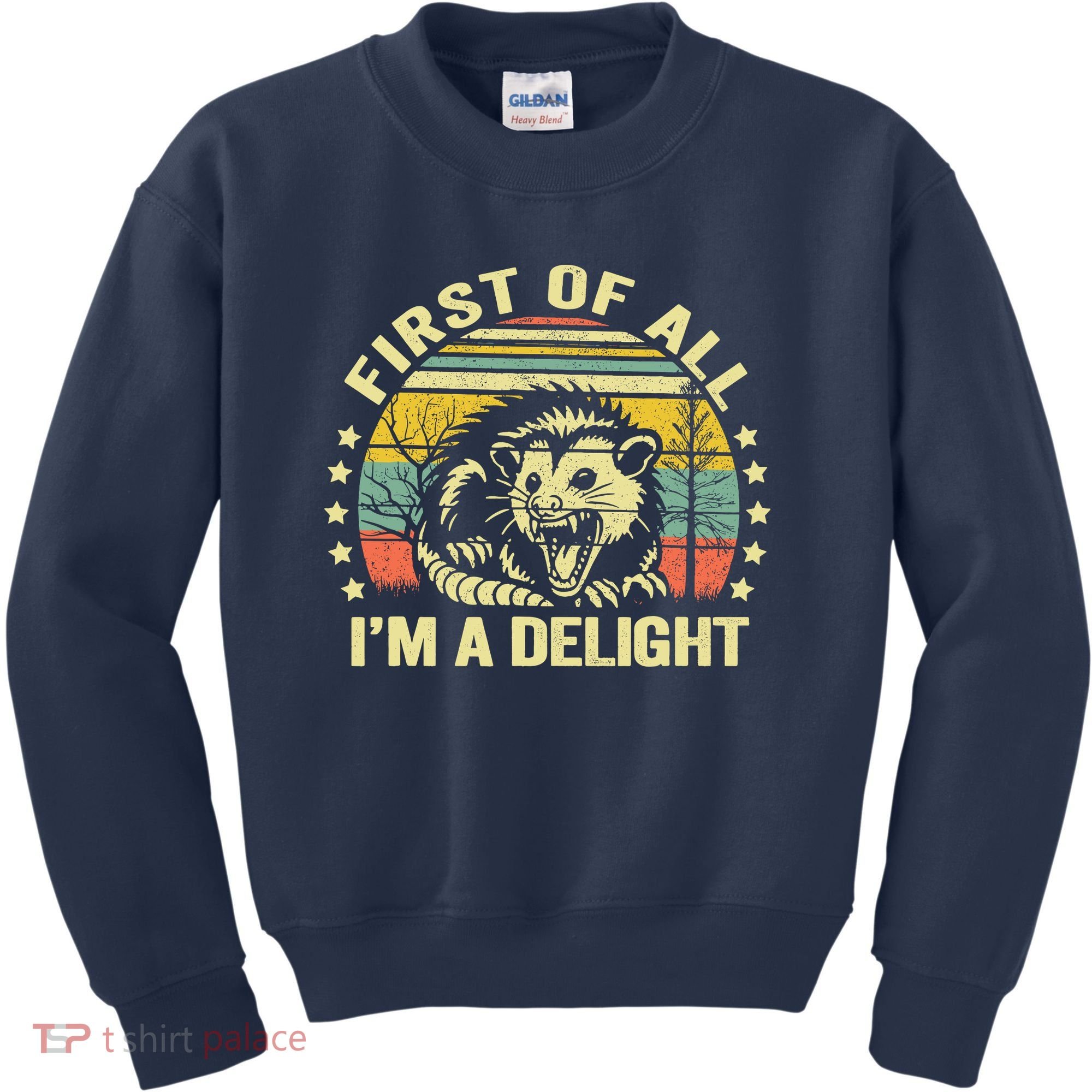 Opossum Possum First Of All IM A Delight Sarcastic Angry Kids Sweatshirt