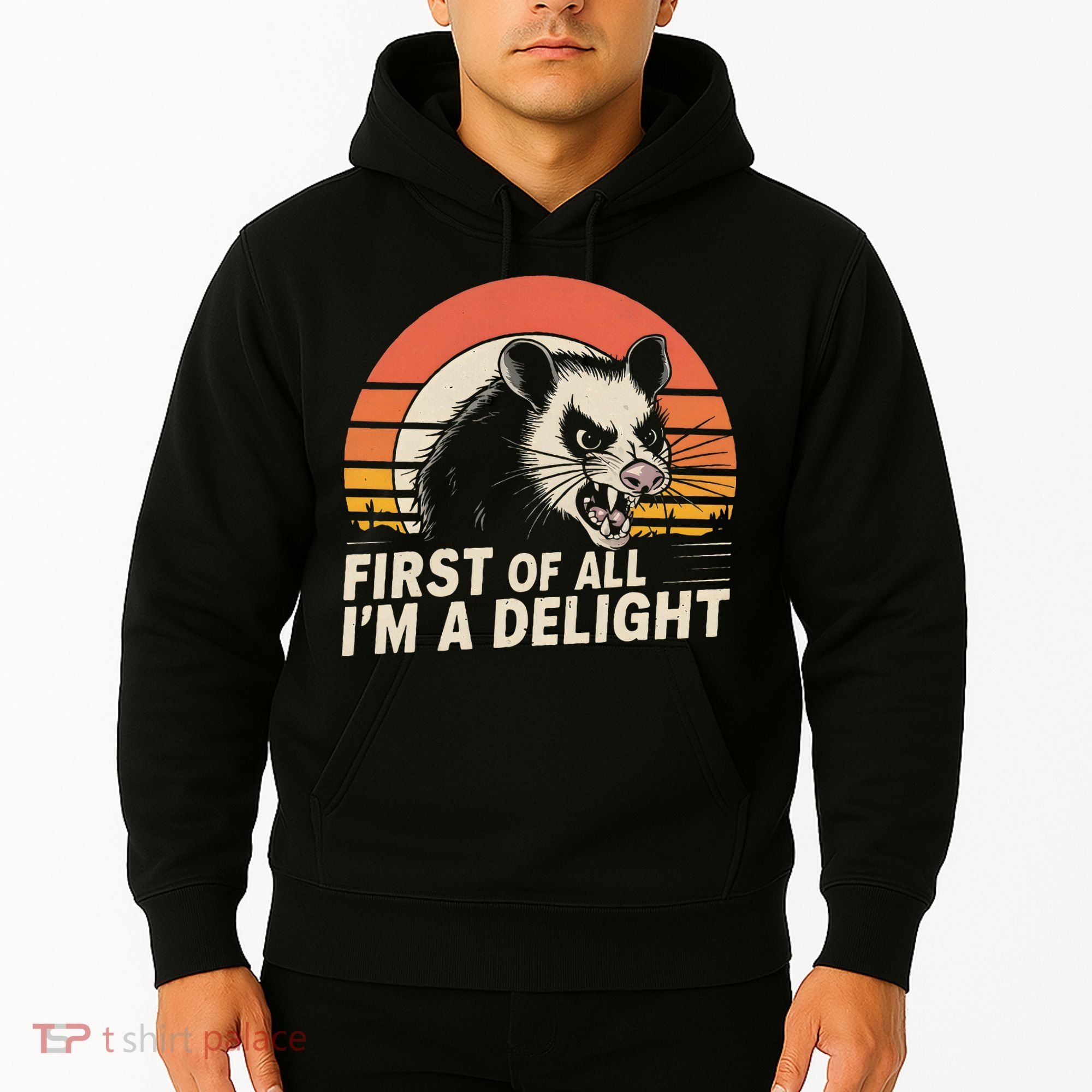 Opossum Possum First Of All IM A Delight Sarcastic Angry Hoodie