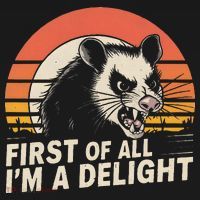Opossum Possum First Of All IM A Delight Sarcastic Angry Hoodie thumb 7