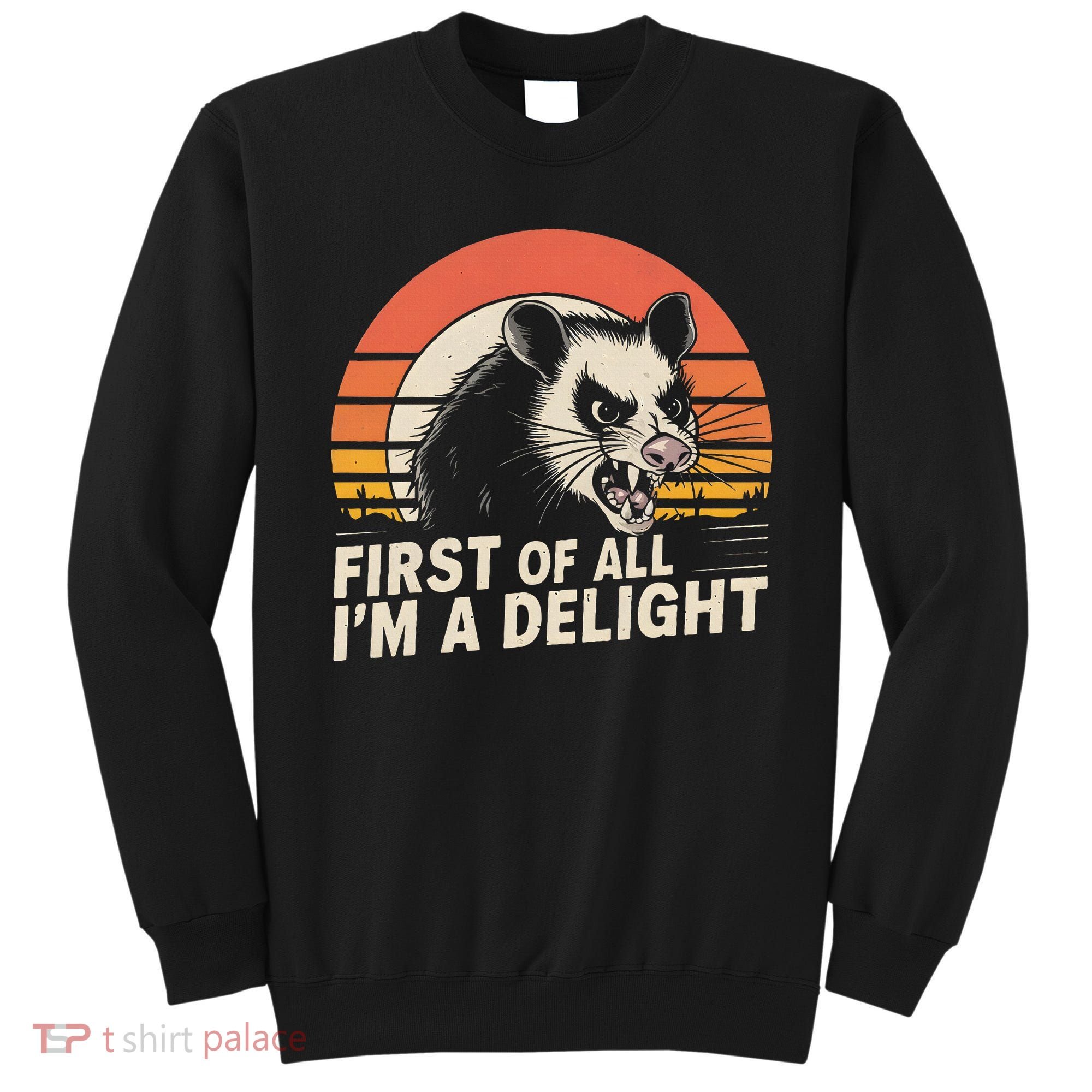 Opossum Possum First Of All IM A Delight Sarcastic Angry Sweatshirt