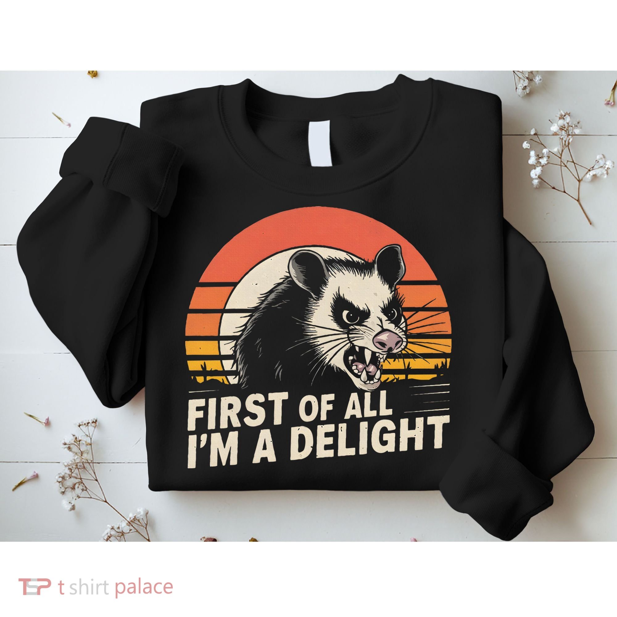 Opossum Possum First Of All IM A Delight Sarcastic Angry Sweatshirt
