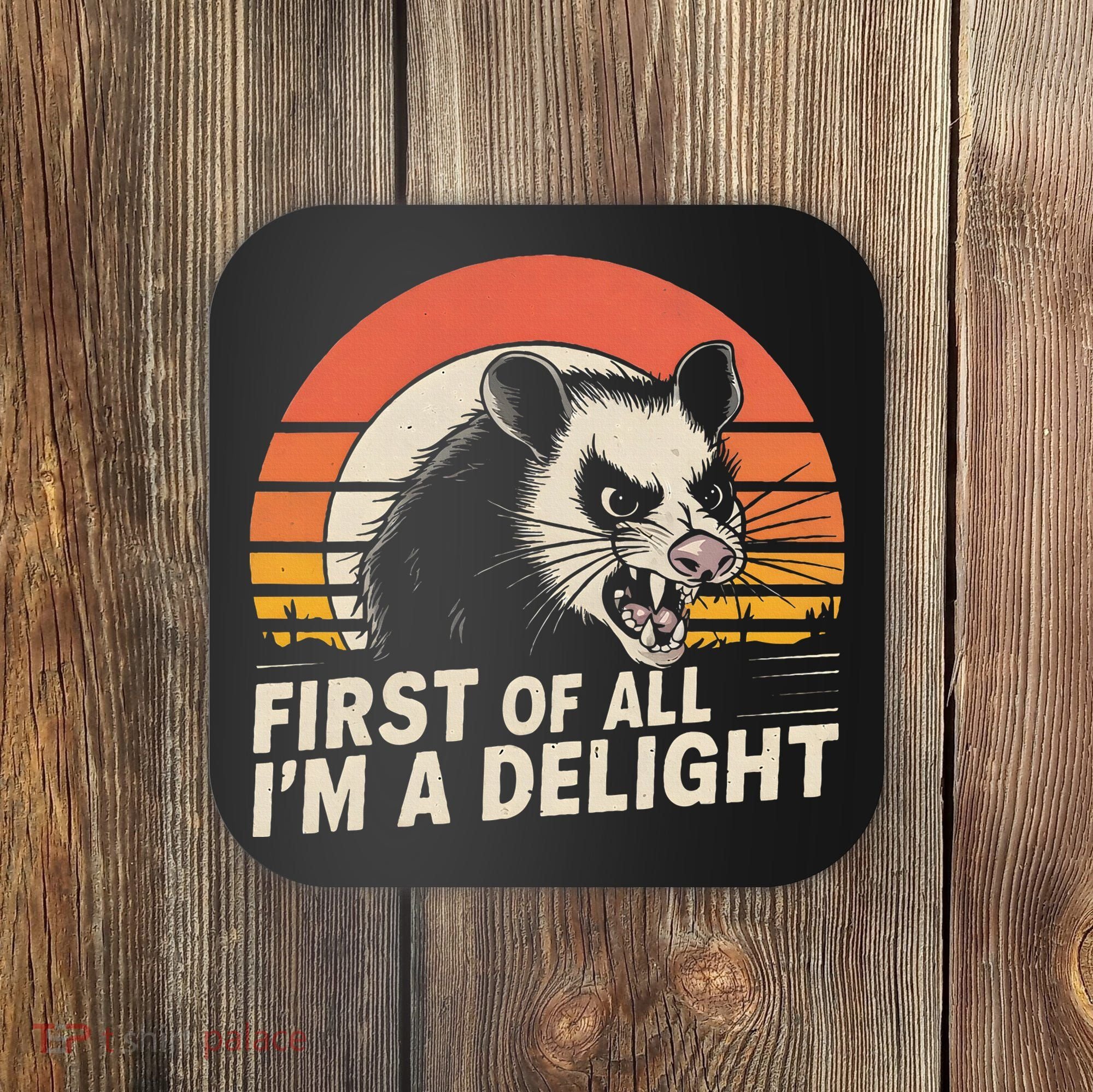 Opossum Possum First Of All IM A Delight Sarcastic Angry Coaster