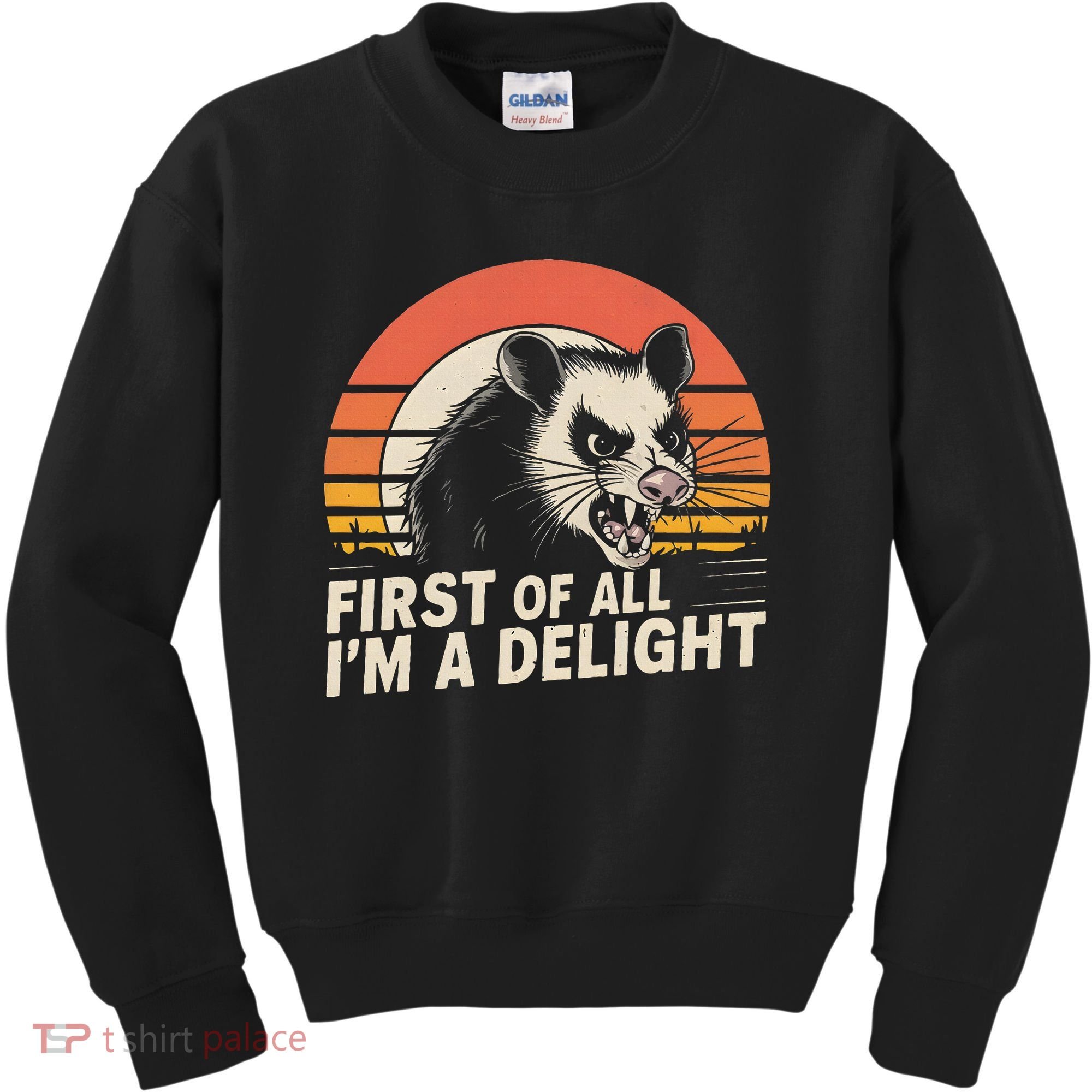 Opossum Possum First Of All IM A Delight Sarcastic Angry Kids Sweatshirt