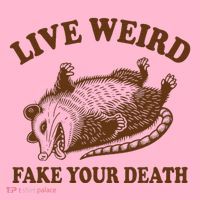 Opossum Possum Lover Live Weird Fake Your Death Coaster thumb 2