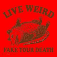 Opossum Possum Lover Live Weird Fake Your Death Santa Hat thumb 1
