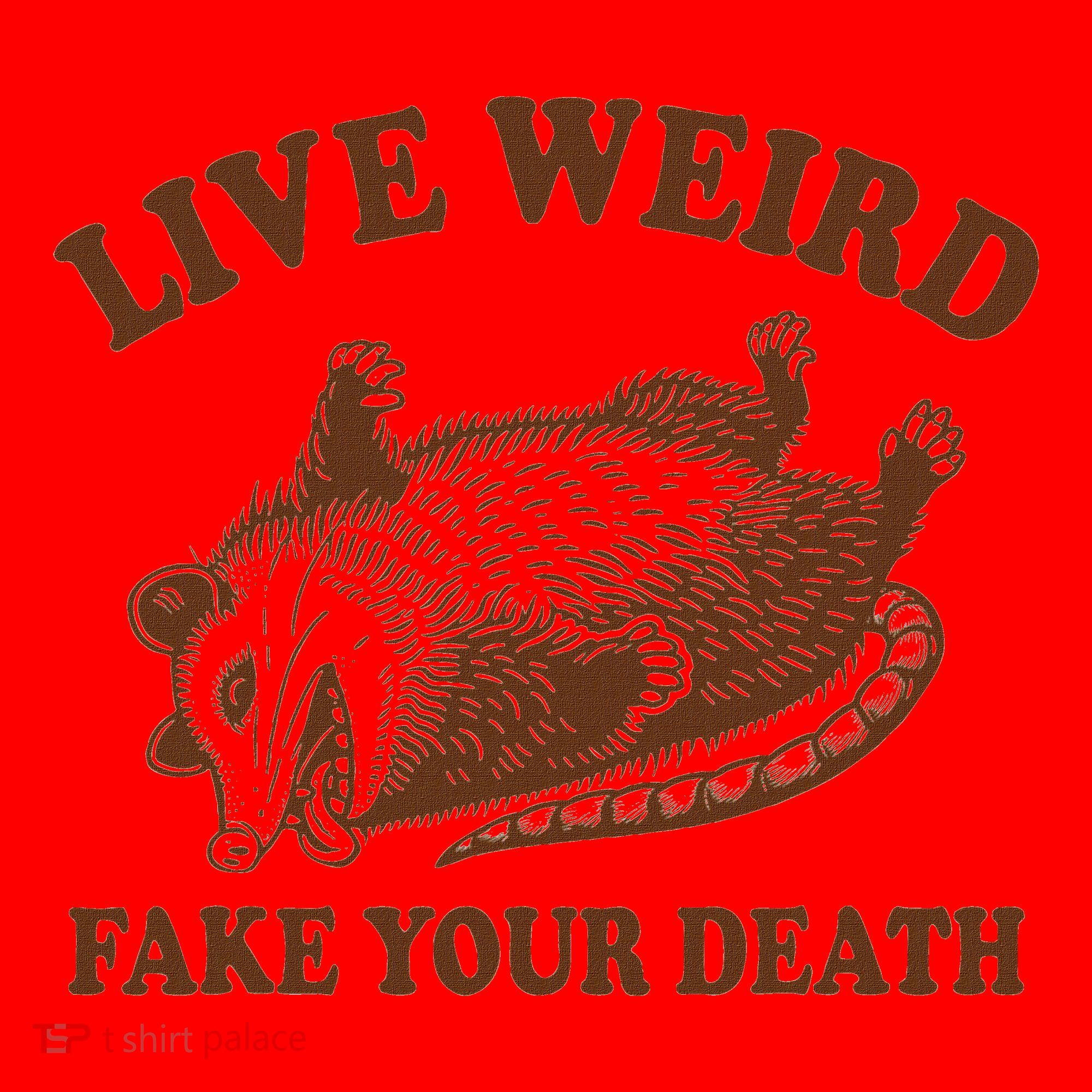 Opossum Possum Lover Live Weird Fake Your Death Santa Hat