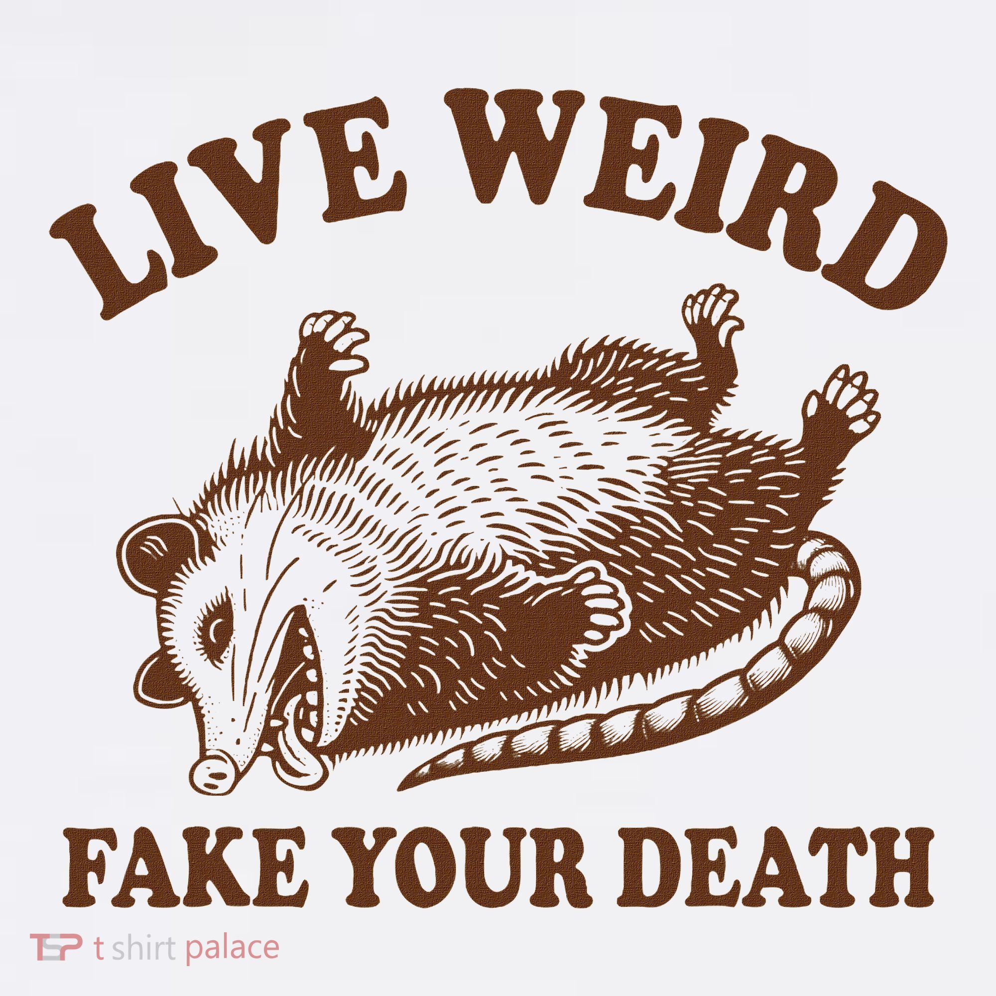 Opossum Possum Lover Live Weird Fake Your Death Women's Hoodie