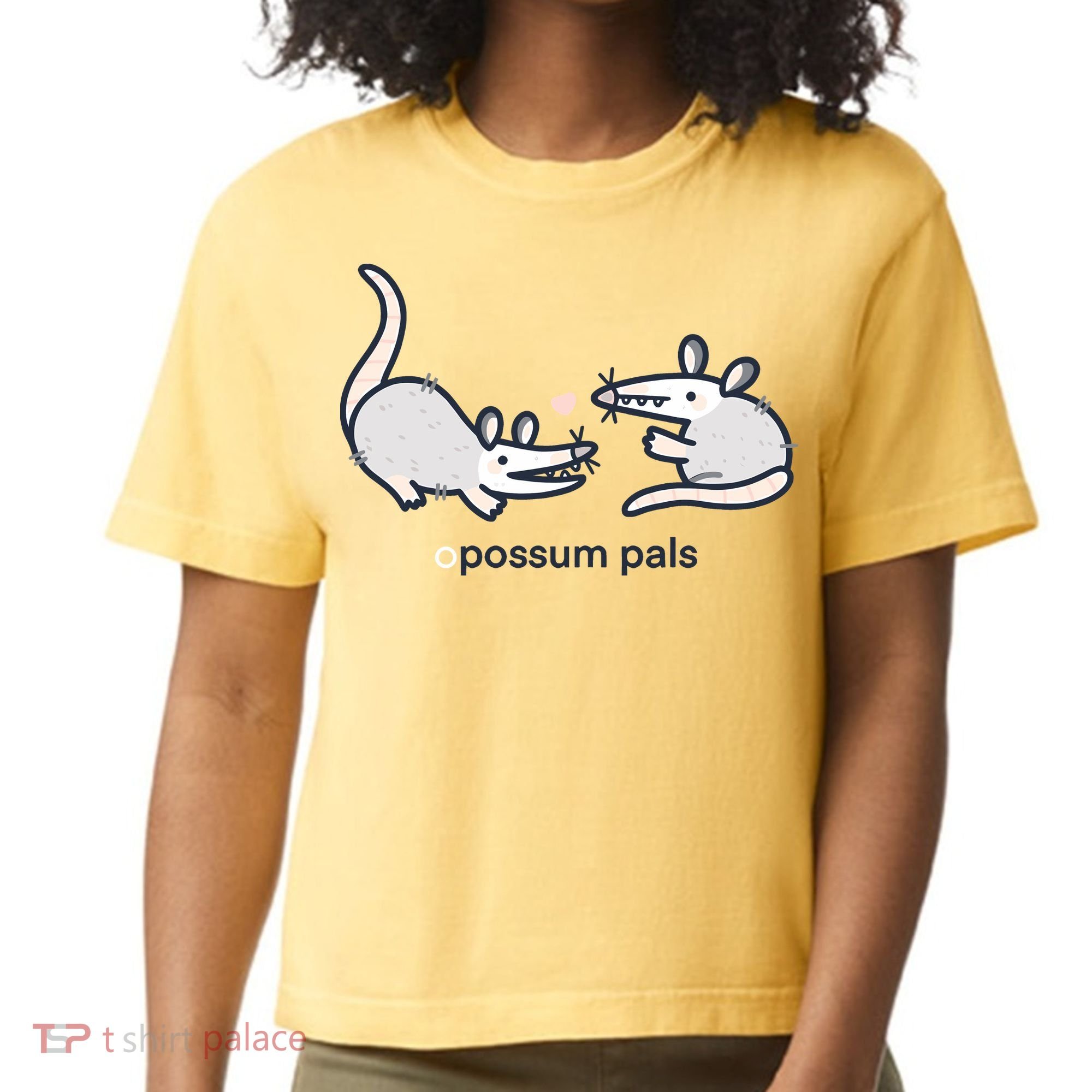 Opossum Pals Comfort Colors Boxy T-Shirt