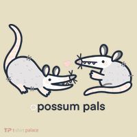Opossum Pals Comfort Colors Boxy T-Shirt thumb 3