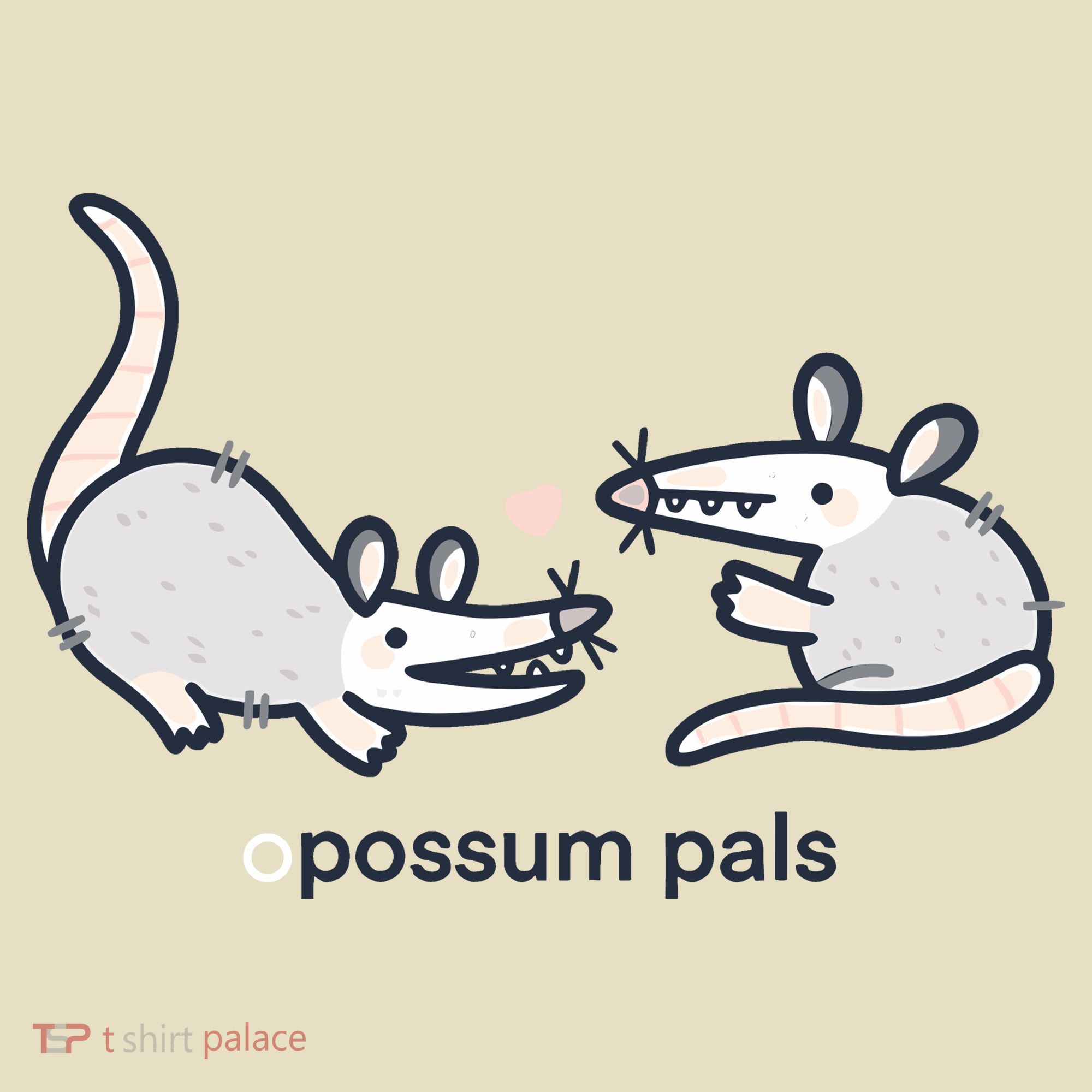 Opossum Pals Comfort Colors Boxy T-Shirt