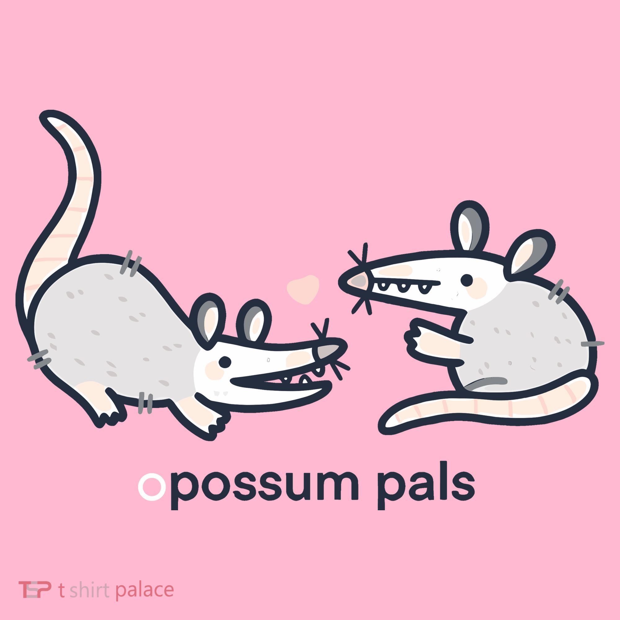 Opossum Pals Coaster