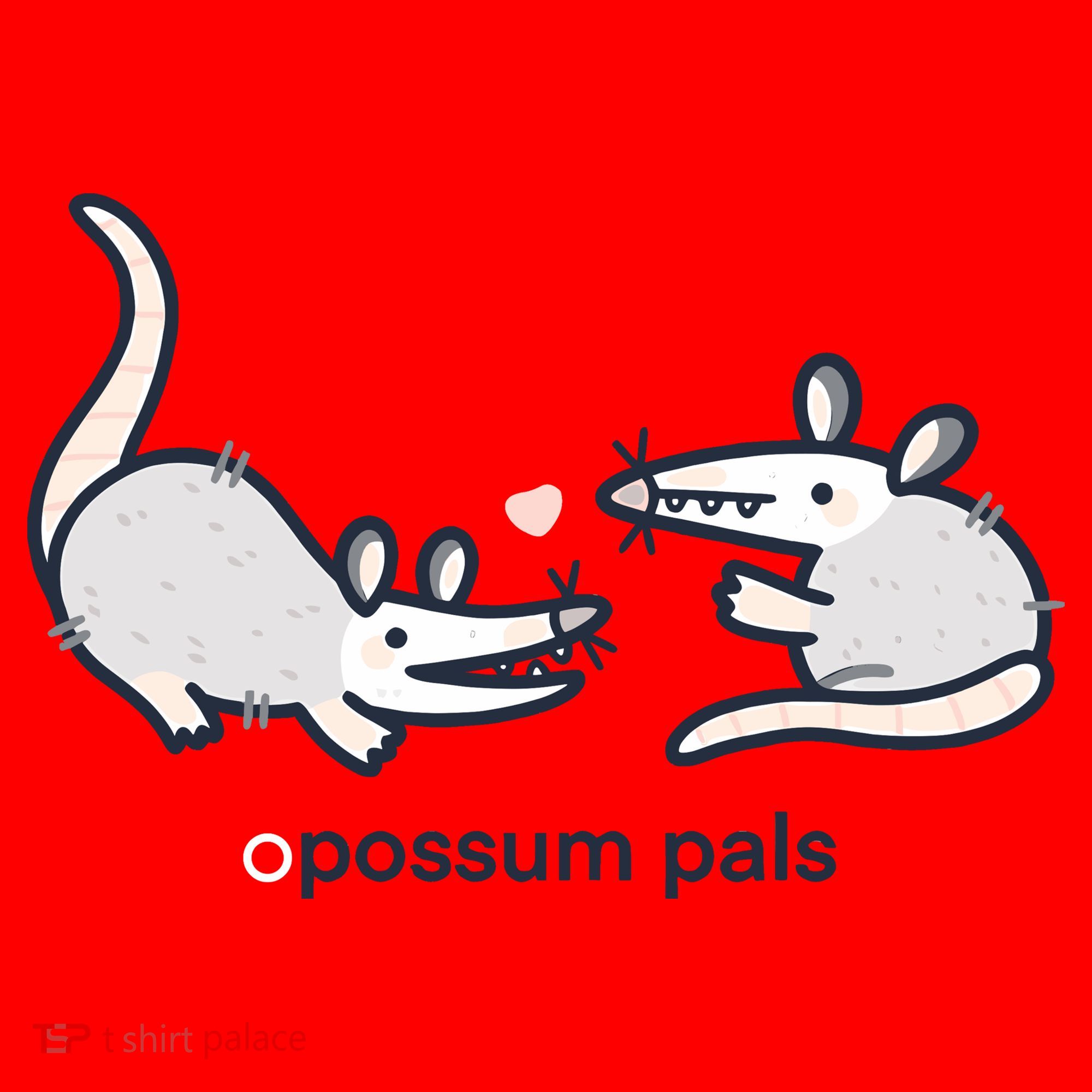 Opossum Pals Santa Hat
