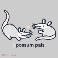Opossum Pals Tie-Dye T-Shirt thumb 2