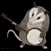 Opossum Playing The Banjo Gift Possum Gift Bucket Hat thumb 4