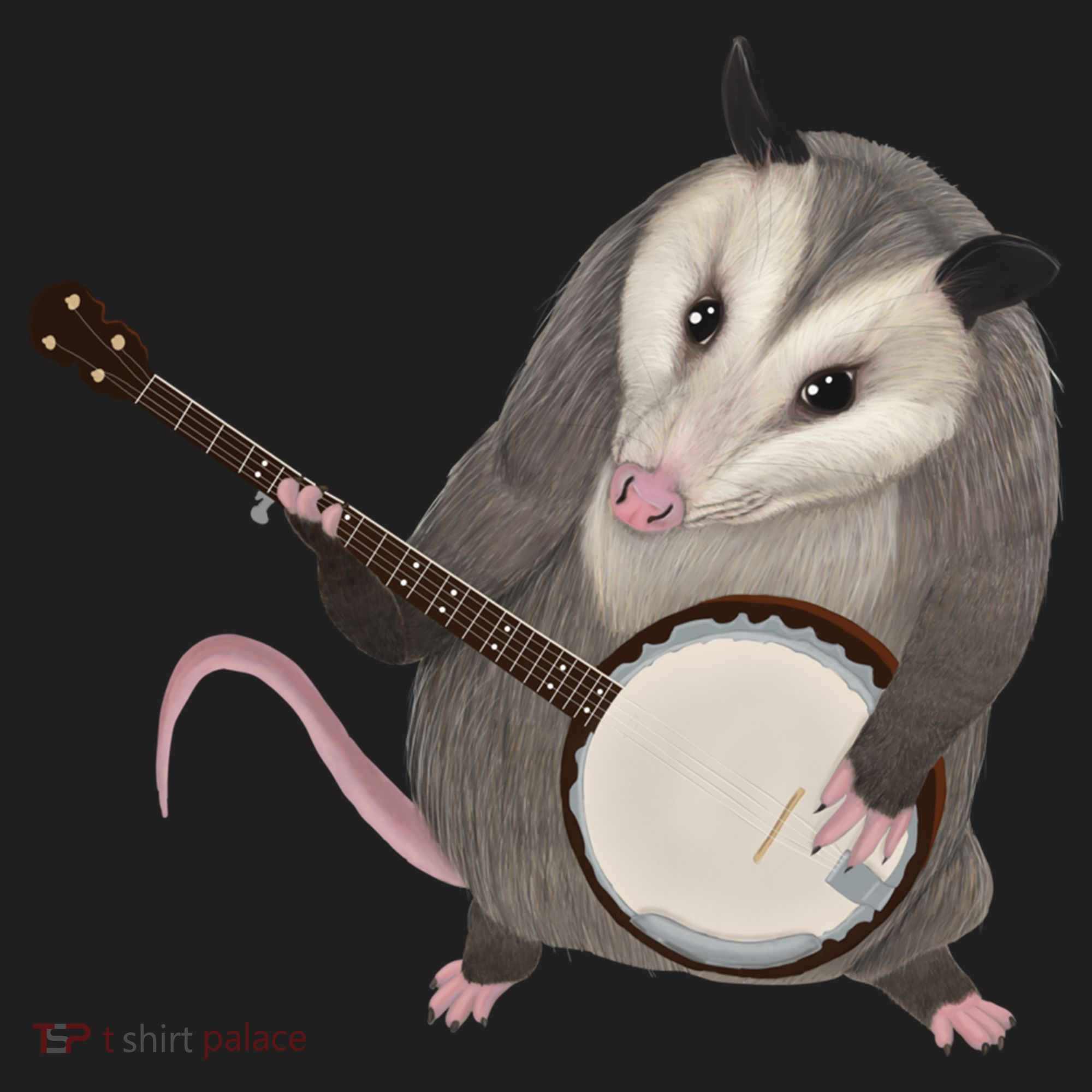Opossum Playing The Banjo Gift Possum Gift Beanie