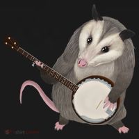 Opossum Playing The Banjo Gift Possum Gift Pajama Set thumb 2