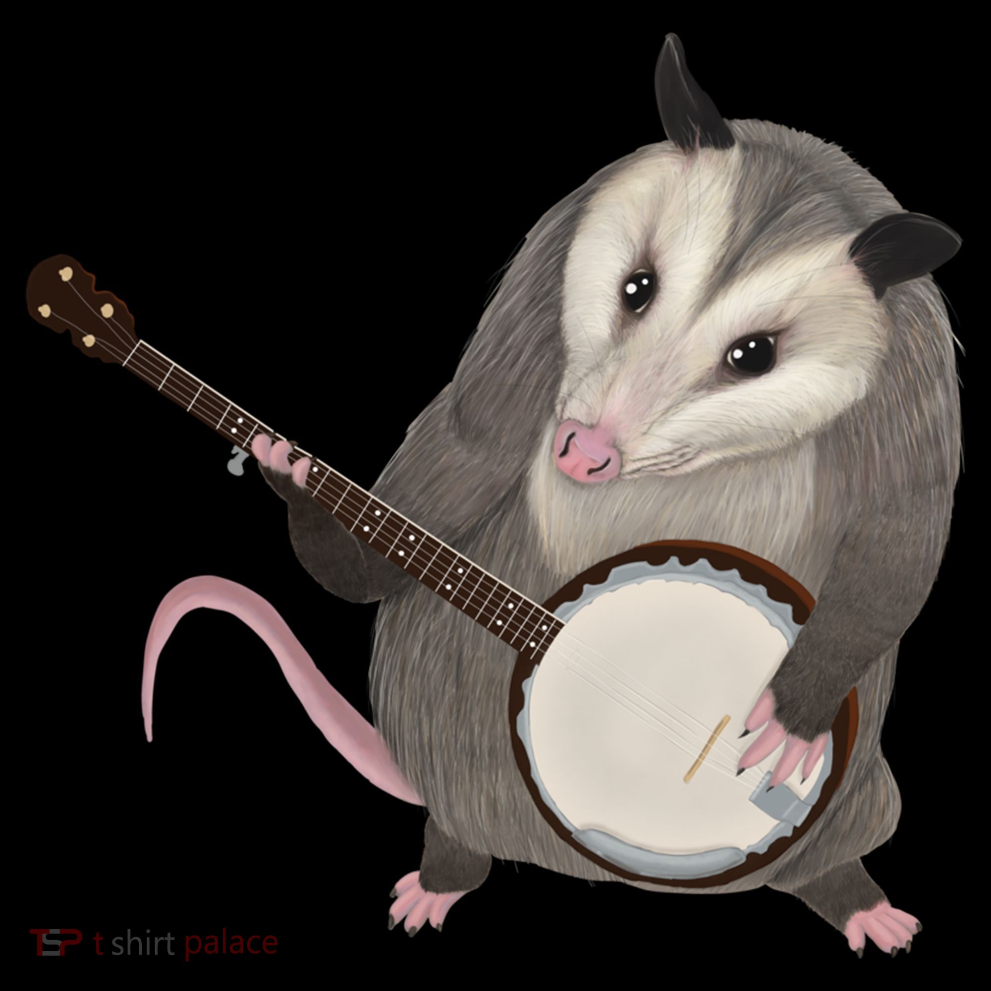 Opossum Playing The Banjo Gift Possum Gift Women's Hoodie