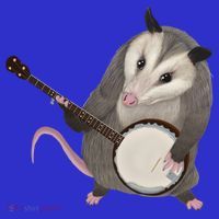 Opossum Playing The Banjo Gift Possum Gift Hoodie thumb 7