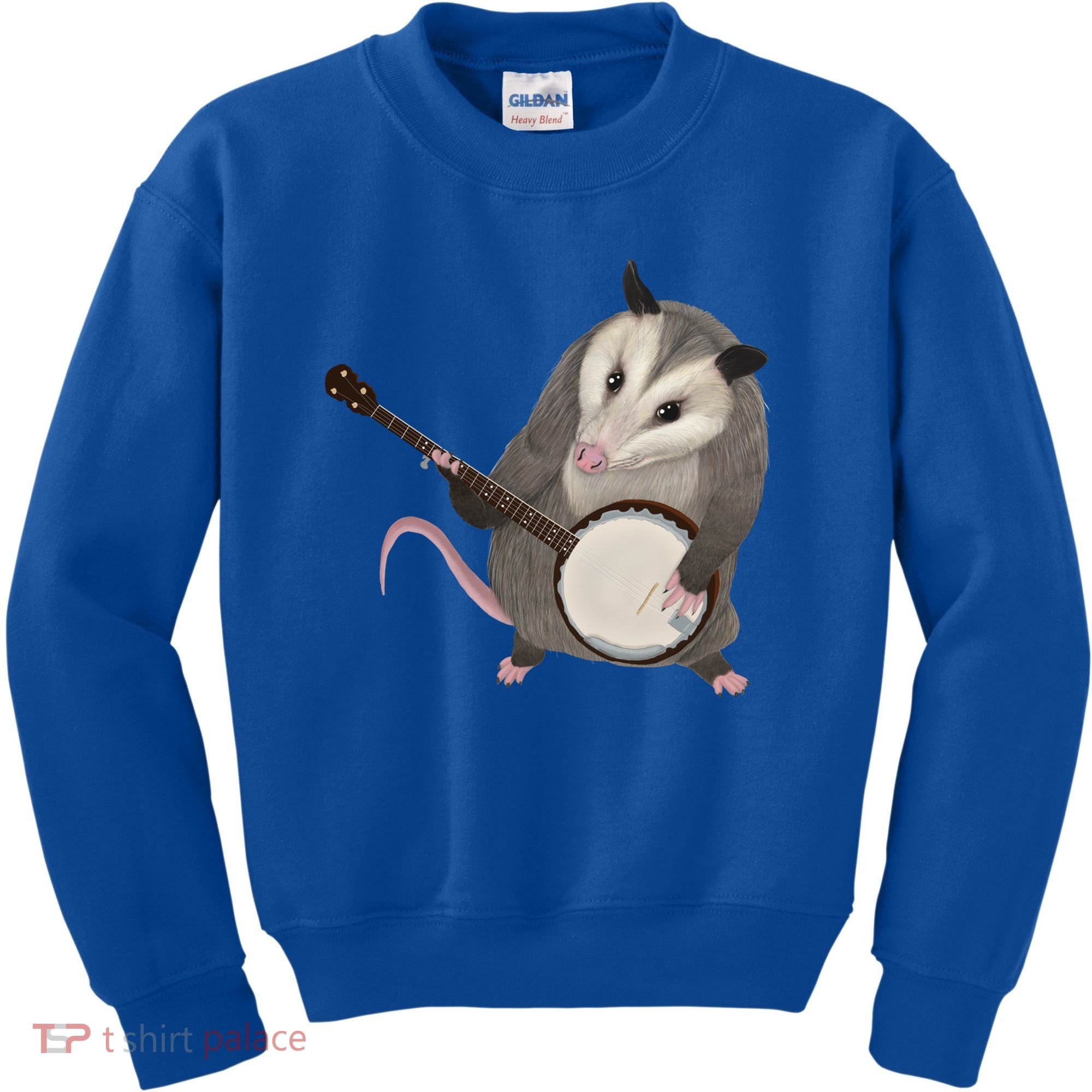 Opossum Playing The Banjo Gift Possum Gift Kids Sweatshirt