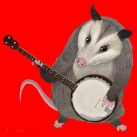 Opossum Playing The Banjo Gift Possum Gift Santa Hat thumb 1