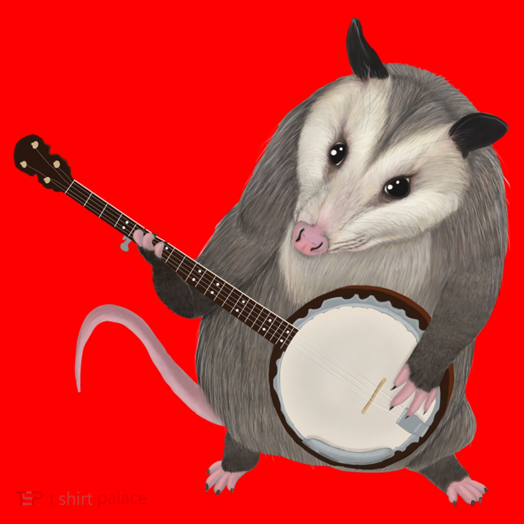 Opossum Playing The Banjo Gift Possum Gift Santa Hat