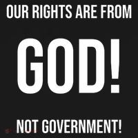 Our Rights Are From God Not Government Toddler Hoodie thumb 2