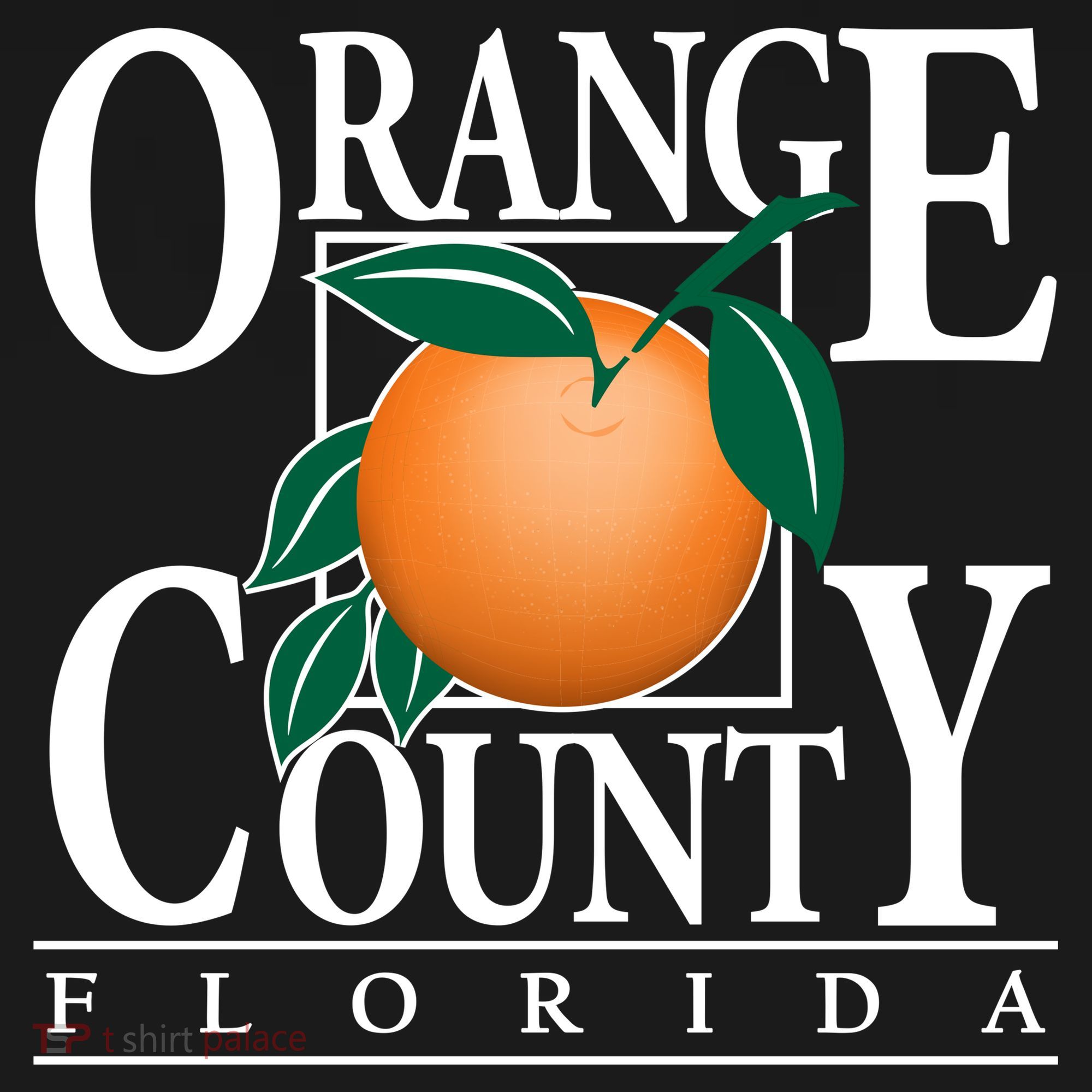 Orange County Florida Coaster