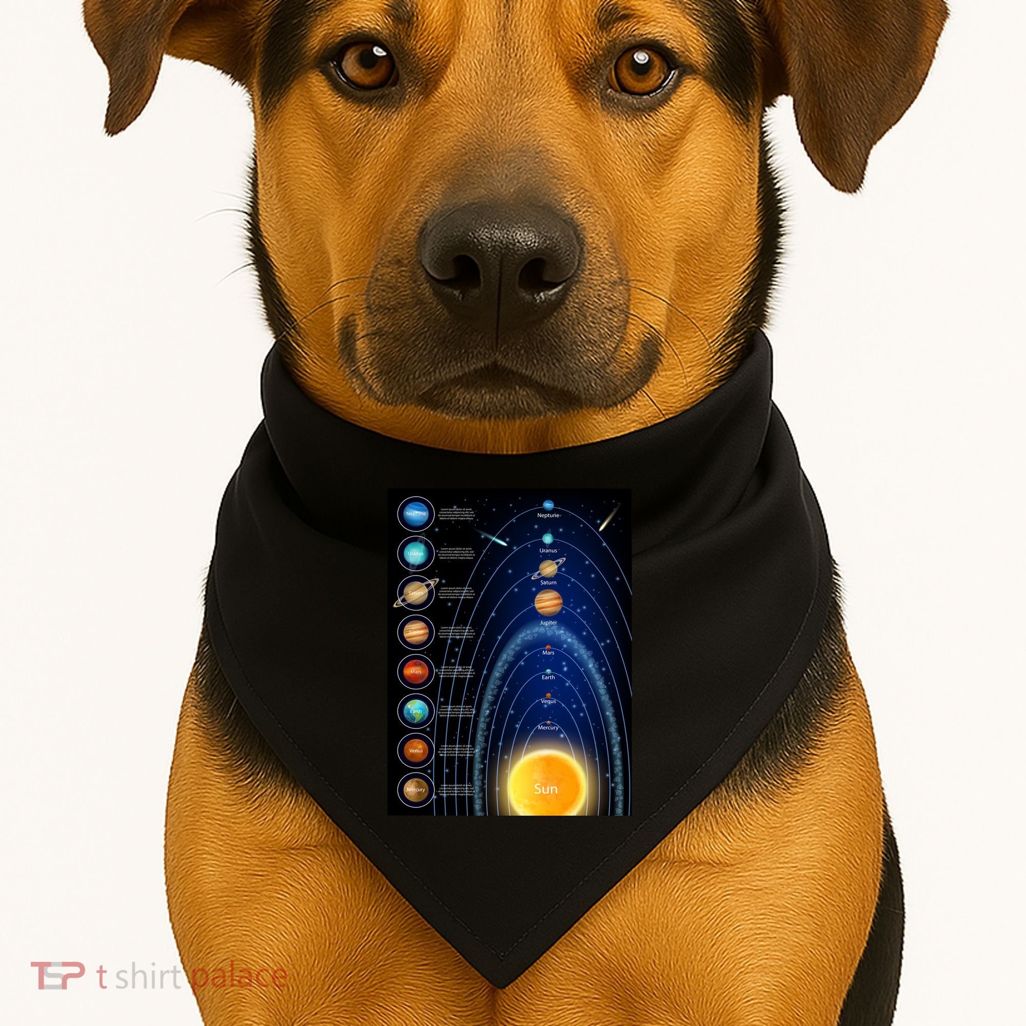 Orbiting Solar System Diagram USA-Made Doggie Bandana
