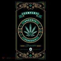 Organic Cannabis Medical Marijuana Women's Hoodie thumb 2