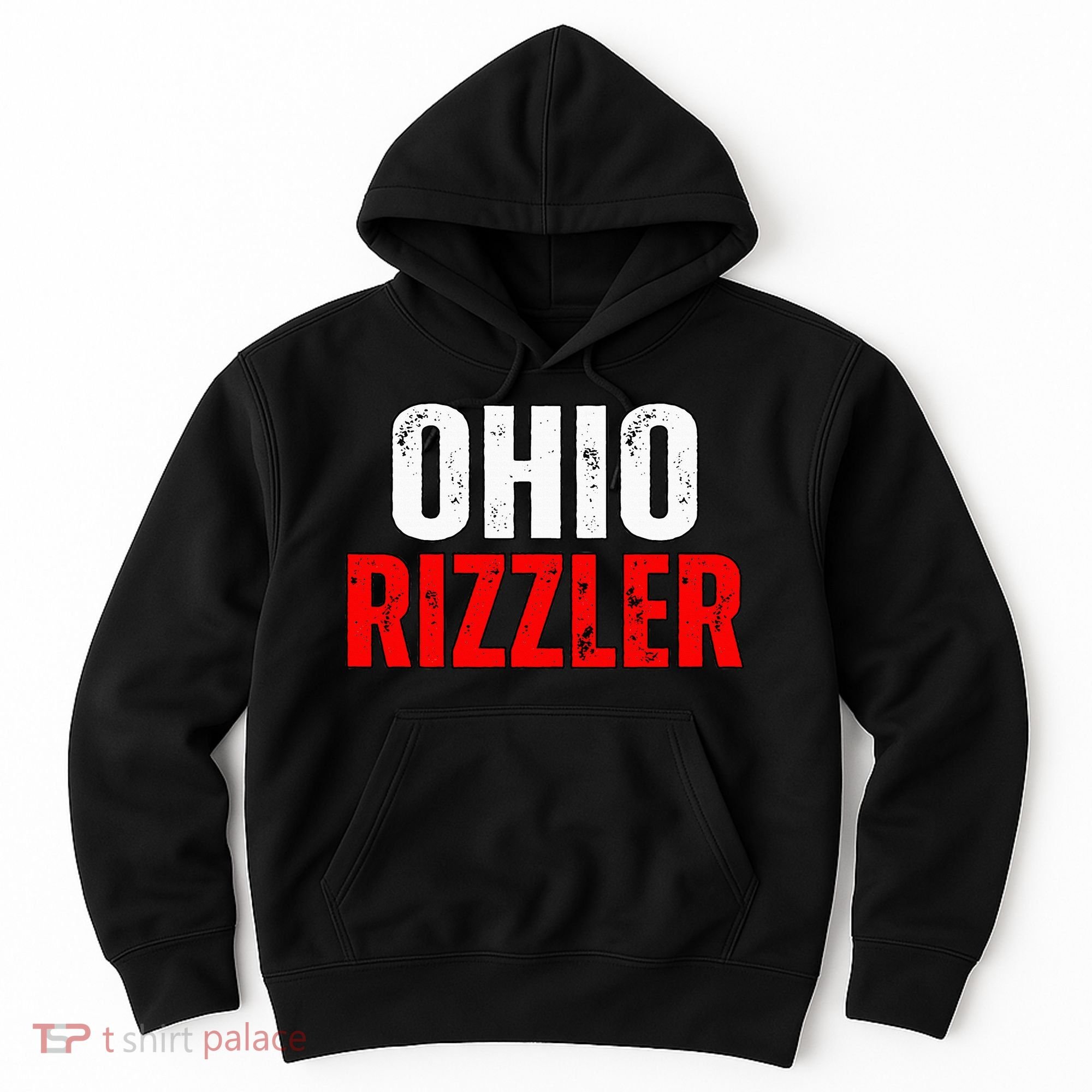 Ohio Rizzler Ohio Rizz Funny Ironic Hoodie