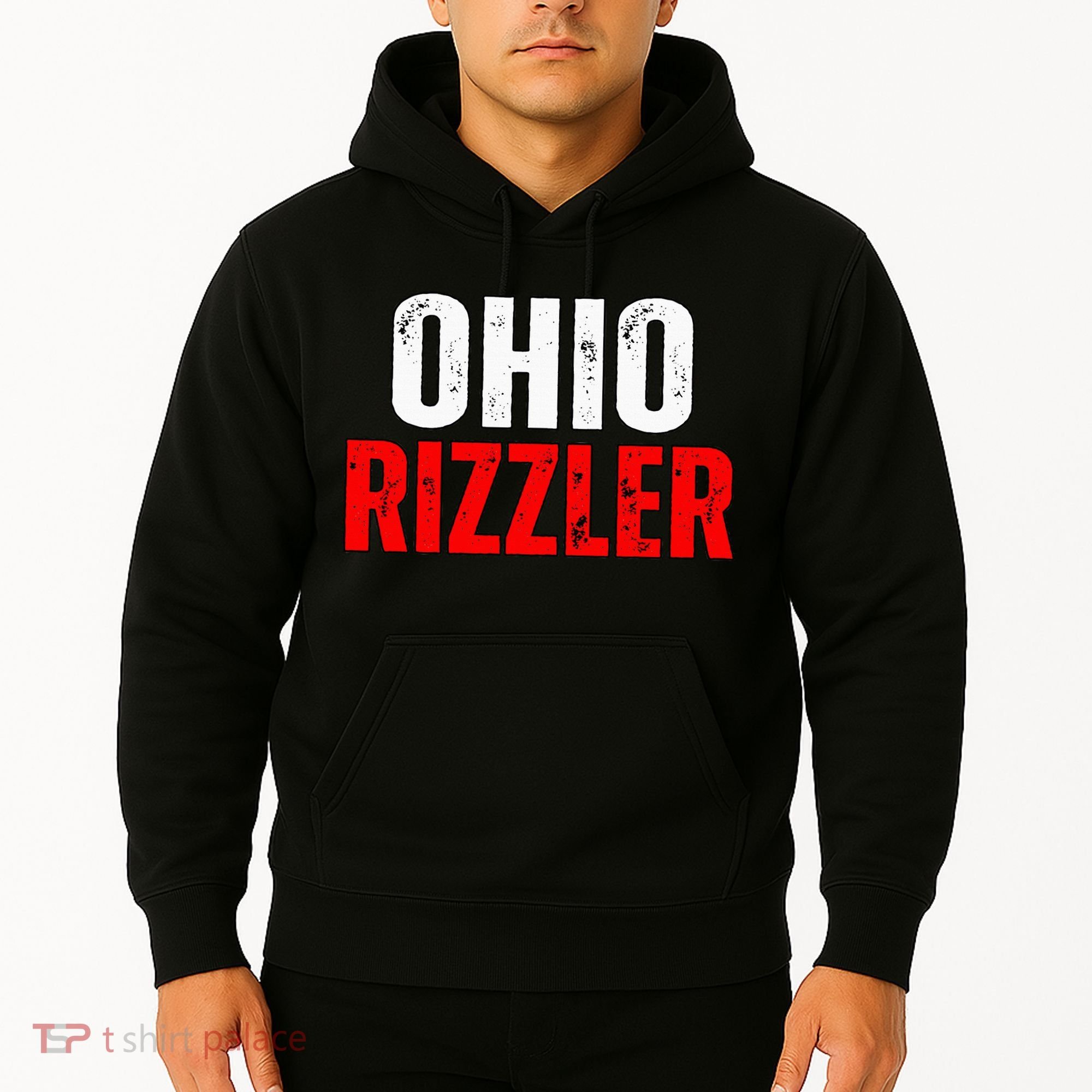 Ohio Rizzler Ohio Rizz Funny Ironic Hoodie