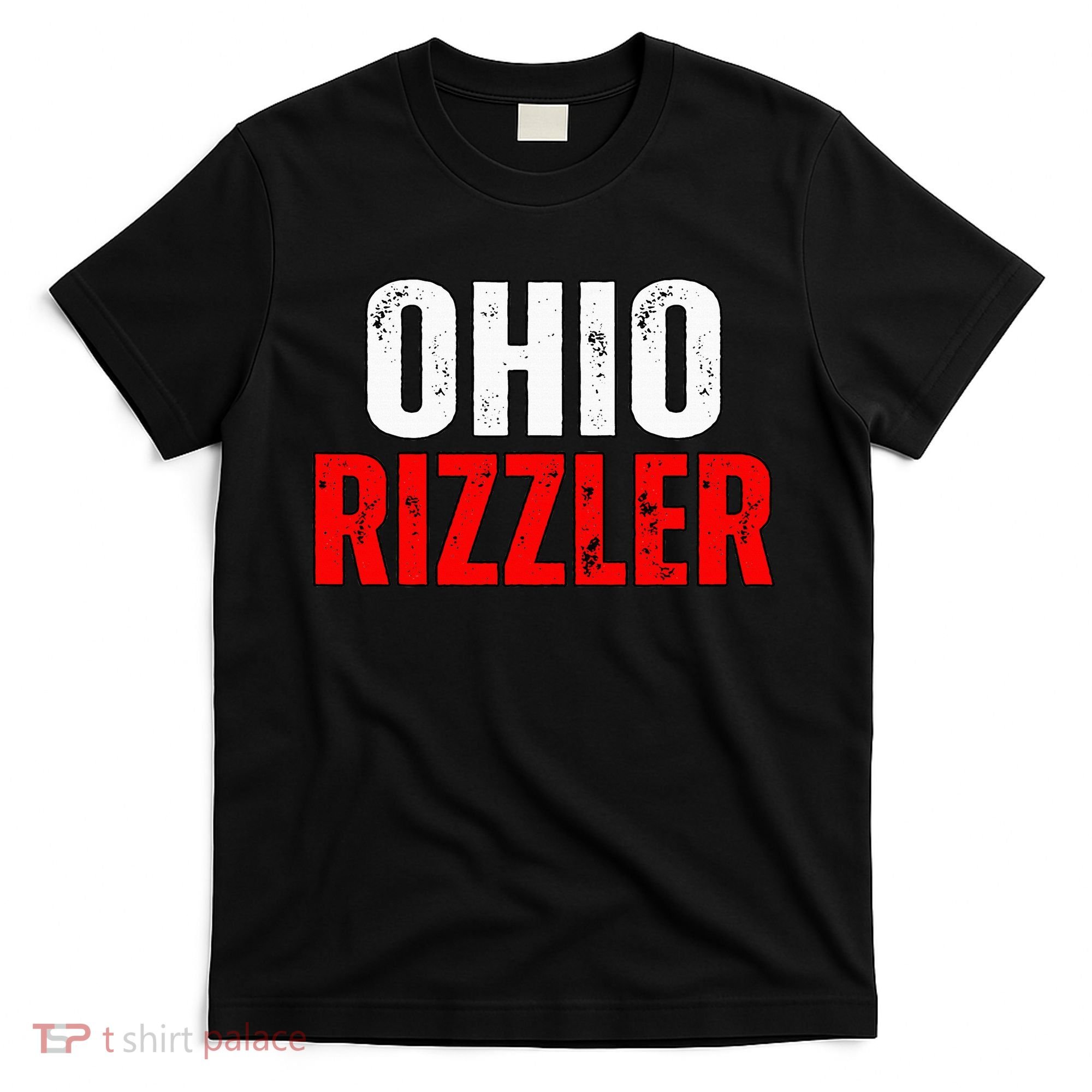 Ohio Rizzler Ohio Rizz Funny Ironic T-Shirt