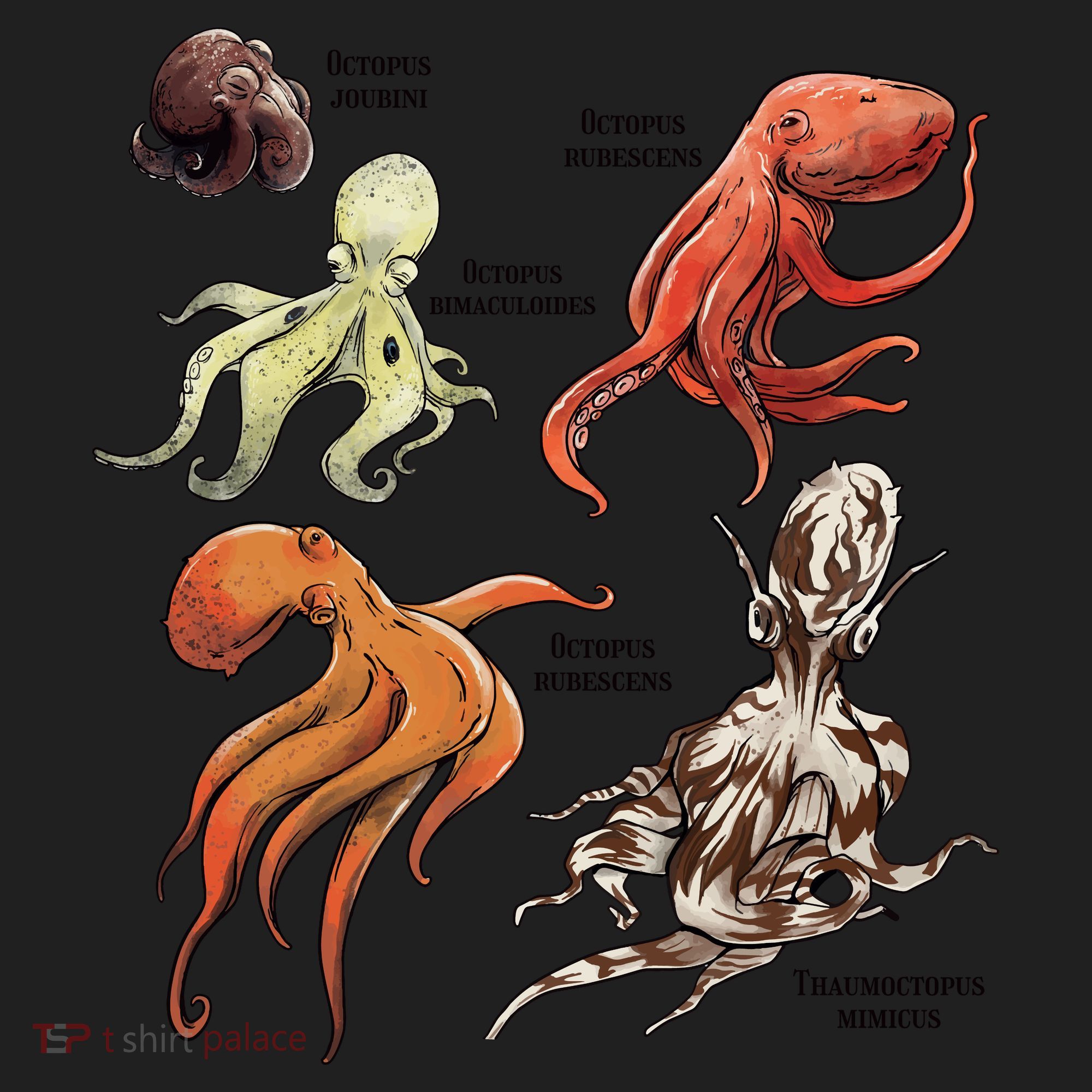 Octopus Sea Animals Species Hat