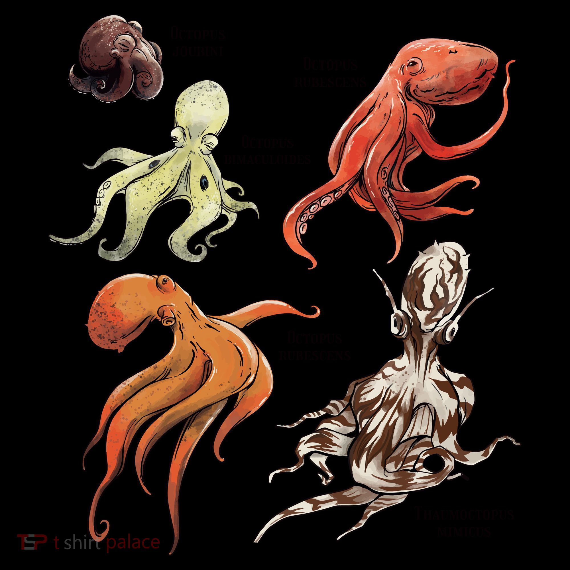 Octopus Sea Animals Species Visor