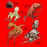 Octopus Sea Animals Species Santa Hat thumb 1