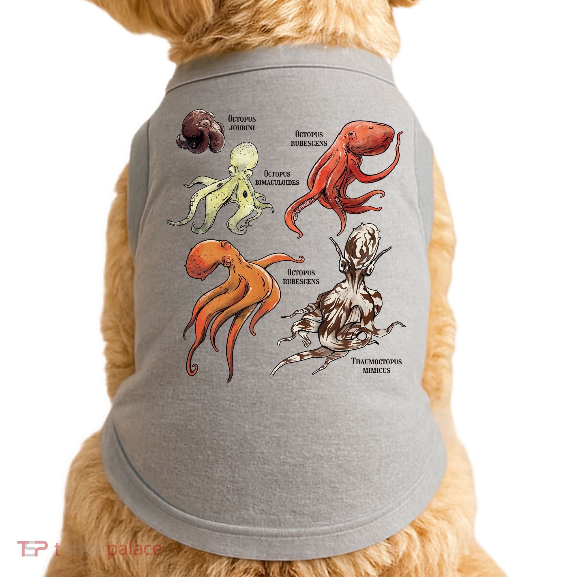 Octopus Sea Animals Species Doggie Tank