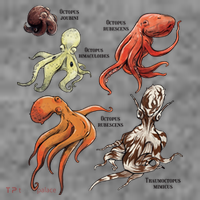 Octopus Sea Animals Species Doggie Tank thumb 3