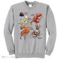 Octopus Sea Animals Species Sweatshirt thumb 0