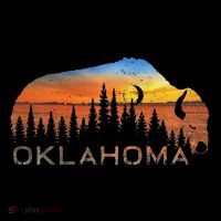 Oklahoma Sunset Buffalo Women's Hoodie thumb 2