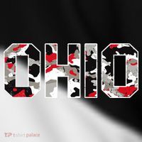 Ohio State Camo Toddler Fine Jersey T-Shirt thumb 2