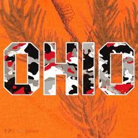 Ohio State Camo Kati Licensed 12" Camo Cuffed Beanie thumb 2