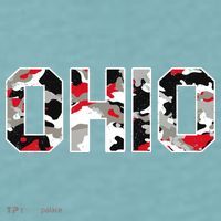 Ohio State Camo Sueded Cloud Jersey T-Shirt thumb 2