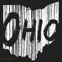 Ohio State Distressed Ladies Heavyweight Boxy Pullover Hoodie thumb 2