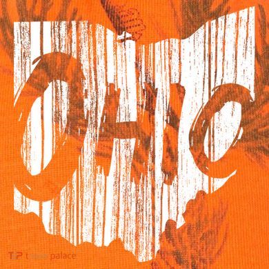 Ohio State Distressed Kati Licensed 12" Camo Cuffed Beanie