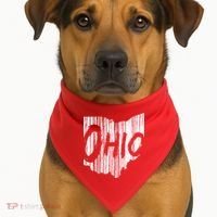 Ohio State Distressed USA-Made Doggie Bandana thumb 1