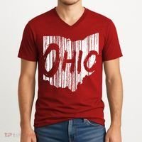 Ohio State Distressed V-Neck T-Shirt thumb 2