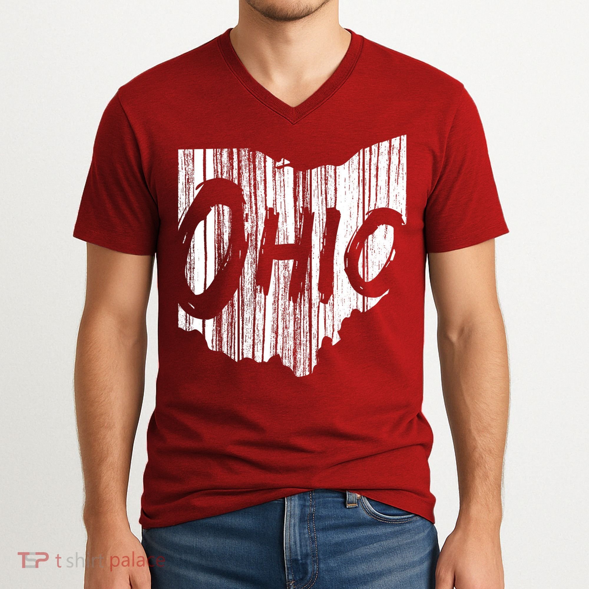 Ohio State Distressed V-Neck T-Shirt