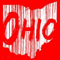 Ohio State Distressed Pom Pom 12in Knit Beanie thumb 2